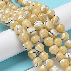 Natural Trochus Shell Beads Strands&nbsp;BSHE-P033-03A