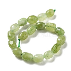 Dyed Natural Malaysia Jade Beads Strands&nbsp;G-P528-I01-01