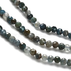 Natural Apatite Beads Strands&nbsp;G-RM2025-A18-3mm-A