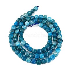 Natural Apatite Beads Strands&nbsp;G-E560-A07-4mm-A