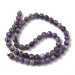Natural Charoite Beads Strands&nbsp;G-C270-O02-04