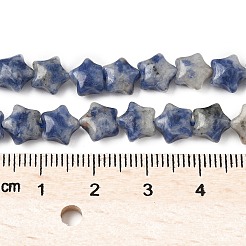Natural Blue Spot Jasper Star Beads Strands&nbsp;G-Z080-A06