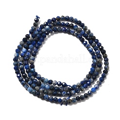 Natural Lapis Lazuli Beads Strands&nbsp;LS-G-F509-14-2mm