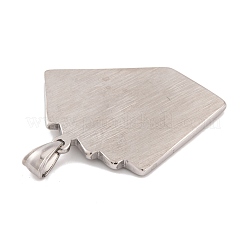 304 Stainless Steel Pendants&nbsp;STAS-K283-22P-02