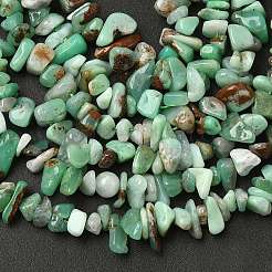 Natural Chrysoprase Beads Strands&nbsp;G-G0004-D01-A
