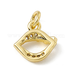 Brass Micro Pave Cubic Zirconia Charms&nbsp;ZIRC-F132-76G
