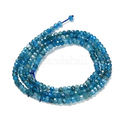 Natural Apatite Beads Strands&nbsp;G-Z106-H03-02