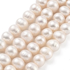 Natural Cultured Freshwater Pearl Beads Strands&nbsp;PEAR-C003-18D