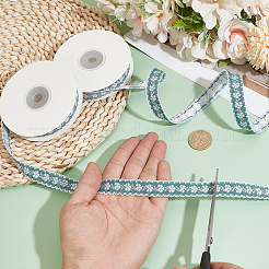Polyester Ribbon&nbsp;LS-OCOR-WH0101-256B