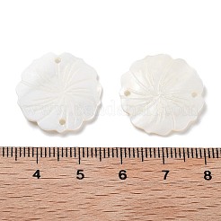 Natural Freshwater Shell Pendants&nbsp;SHEL-D082-14A