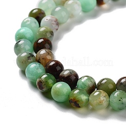 Natural Chrysoprase Beads Strands&nbsp;G-G057-A01-02