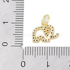 Rack Plating Brass Cubic Zirconia Charms&nbsp;KK-Z060-12G