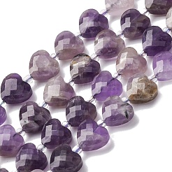 Natural Amethyst Beads Strands&nbsp;G-P570-E17-01