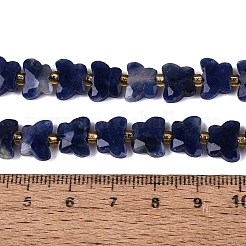 Natural Sodalite Beads Strands&nbsp;G-N371-10A-03