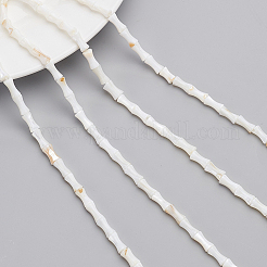 Natural Freshwater Shell Beads Strands&nbsp;SHEL-NB0001-40