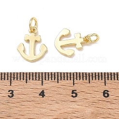 Brass Charms&nbsp;KK-D289-17G