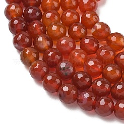 Dyed & Heated Natural Agate Beads Strands&nbsp;G-P539-D01-09