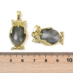 Natural Labradorite Pendant&nbsp;KK-F887-02G-09