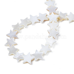 Natural Freshwater Shell Beads Strands&nbsp;X-SHEL-S278-01B-01