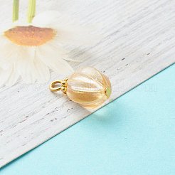 Glass Charms&nbsp;PALLOY-JF00811