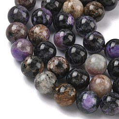 Natural Charoite Beads Strands&nbsp;G-C270-O03-10