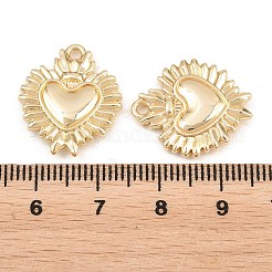 Valentine's Day Alloy Pendants&nbsp;PALLOY-T096-05G
