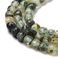 Natural Prehnite Beads Strands&nbsp;LS-G-B088-E16-04
