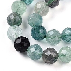 Natural Fluorite Beads Strands&nbsp;G-S345-10mm-31