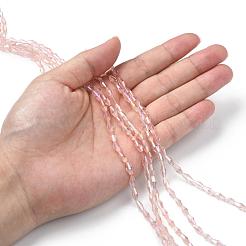 Transparent Glass Beads&nbsp;GLAA-P001-02A-07