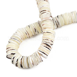 Natural Trochus Shell Beads Strands&nbsp;SSHEL-N034-163B