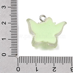 Transparent Resin Pendants&nbsp;RE-CBAA178-05P