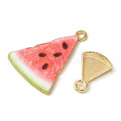 DIY Watermelon Dangle Earrings&nbsp;DIY-FS0006-06