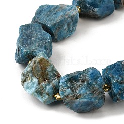 Raw Rough Natural Apatite Beads Strands&nbsp;G-Z087-B12