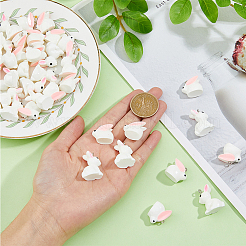 40Pcs 2 Styles Opaque Resin Pendants&nbsp;RESI-DC0001-31