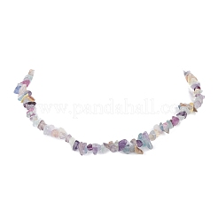 Natural Fluorite Chips Beaded Necklaces&nbsp;NJEW-JN04275-06