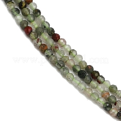 Natural African Bloodstone Beads Strands&nbsp;G-S388-A02-2mm