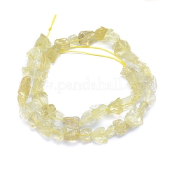 Raw Rough Natural Lemon Jade Beads Strands&nbsp;G-I279-B11