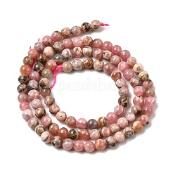 Natural Argentina Rhodonite Beads Strands&nbsp;G-A293-B02-4mm