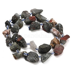 Raw Rough Natural African Bloodstone Beads Strands&nbsp;GG-CBA0B77-A09-01