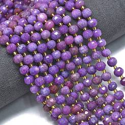 Dyed Natural White Jade Beads Strands&nbsp;G-K389-E56-01