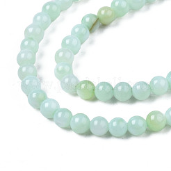 Natural Freshwater Shell Beads Strands&nbsp;X-BSHE-T009A-01D