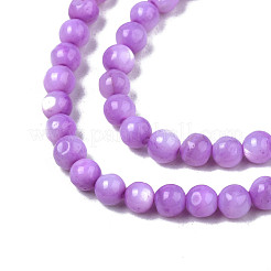 Natural Freshwater Shell Beads Strands&nbsp;SHEL-N003-24-B04