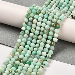 Natural Green Opal Beads Strands&nbsp;G-Z035-A02-03E