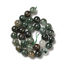 Natural Fuchsite Beads Strands&nbsp;G-K285-40C-1