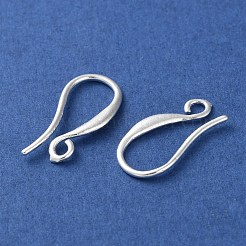 Brass Earring Hooks&nbsp;KK-F880-19S