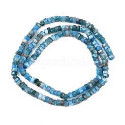 Natural Apatite Beads Strands&nbsp;G-G345-C26-2x4mm