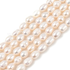 Natural Cultured Freshwater Pearl Beads Strands&nbsp;PEAR-I007-01B-05B