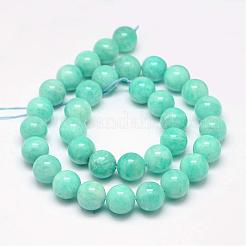 Natural Amazonite Bead Strands&nbsp;G-P204-02-12mm