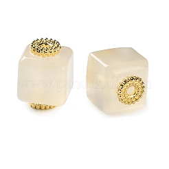 Natural Agate Cube Beads&nbsp;G-G179-02