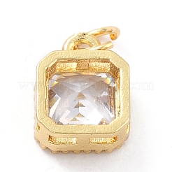 Real 18K Gold Plated Brass Inlaid Cubic Zirconia Charms&nbsp;ZIRC-L100-073G-07